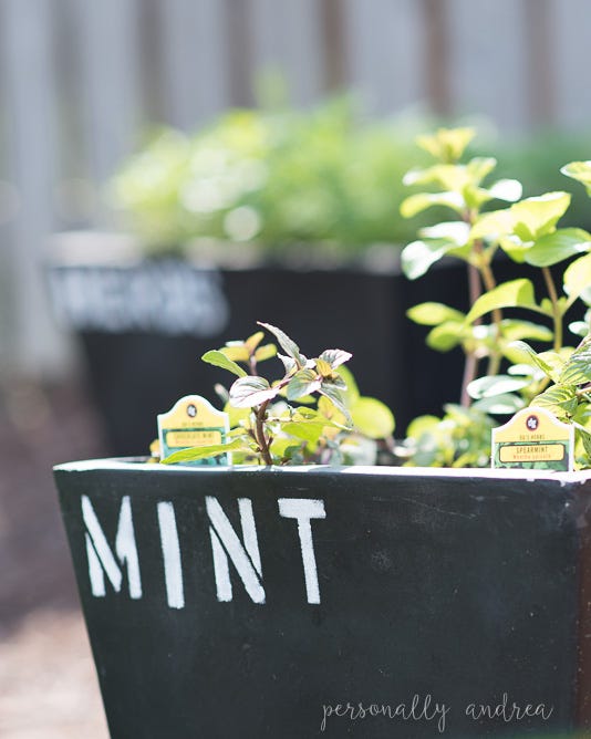 best backyard decor chalkboard garden containers