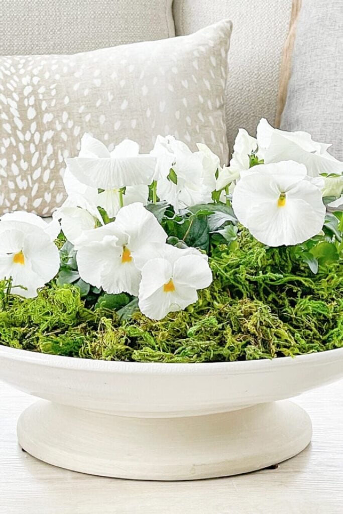 12 Simple Spring Decor Ideas for a Fresh Look